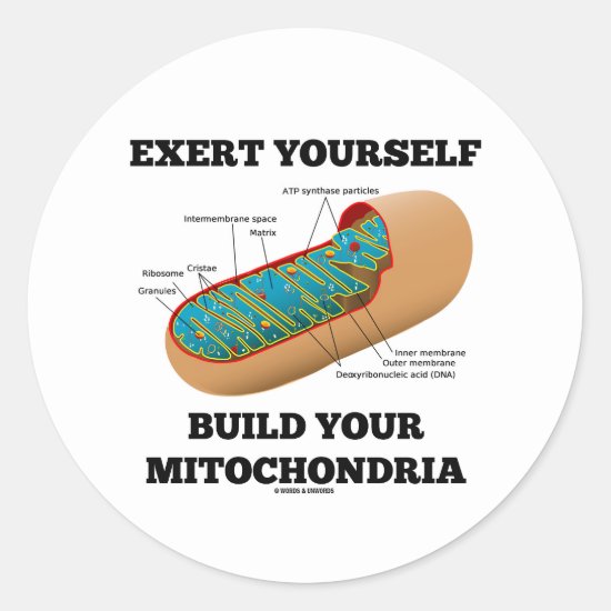 Exert Yourself Build Your Mitochondria Classic Round Sticker