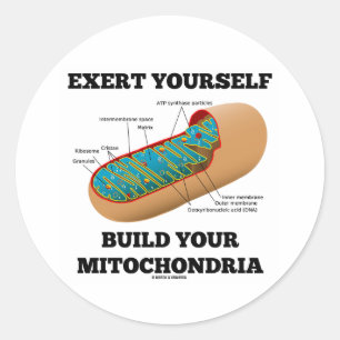 Exert Yourself Build Your Mitochondria Classic Round Sticker