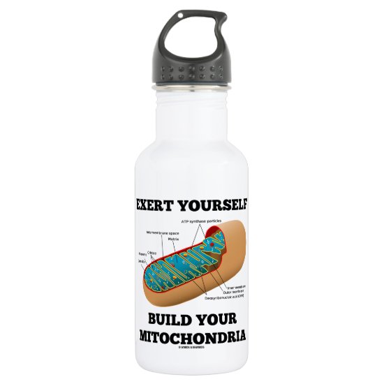 Exert Yourself Build Your Mitochondria Stainless Steel Water Bottle