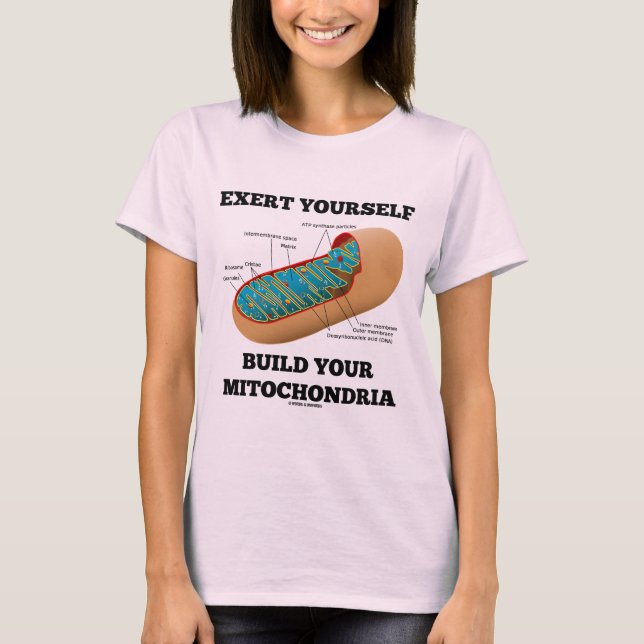 Exert Yourself Build Your Mitochondria T-Shirt (Front)