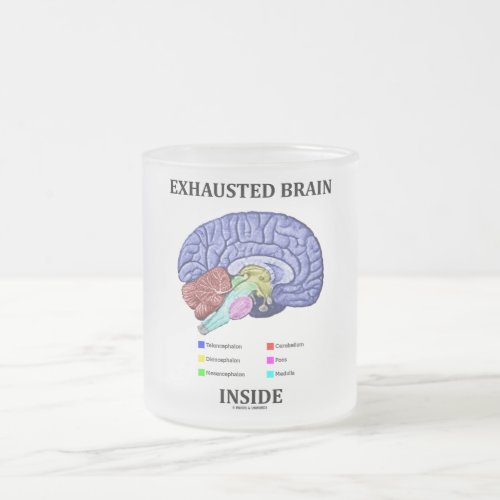 Exhausted Brain Inside Anatomical Brain Humor Frosted Glass Coffee Mug