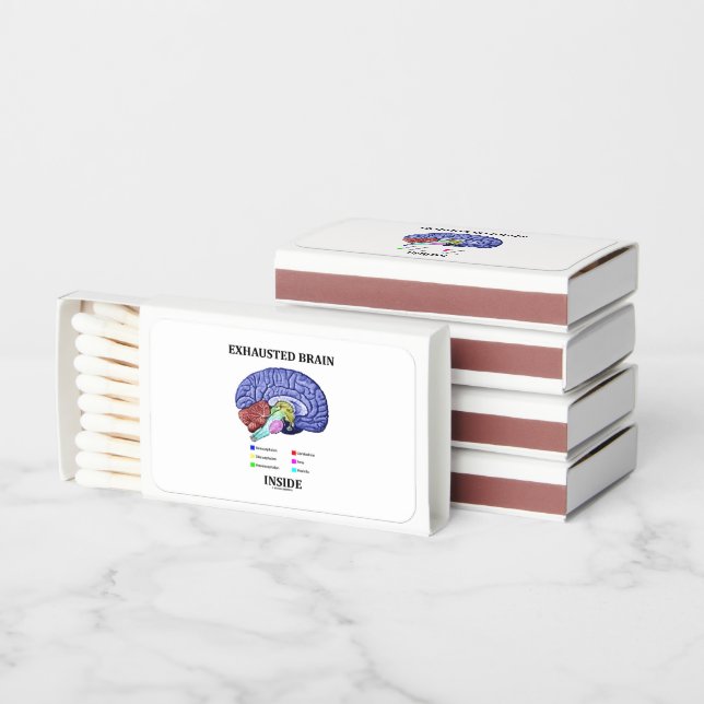 Exhausted Brain Inside Anatomical Brain Humor Matchboxes (Stacked)