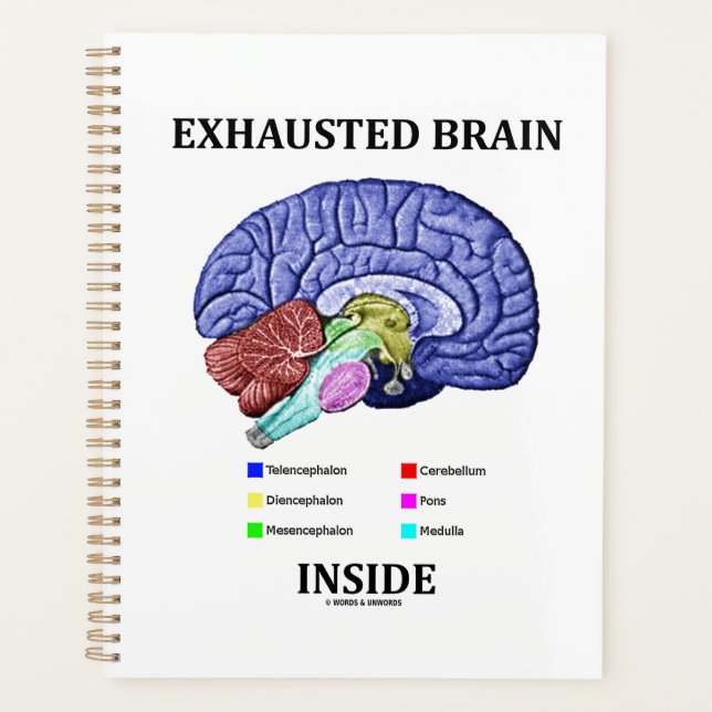 Exhausted Brain Inside Anatomical Brain Humor Planner (Front)