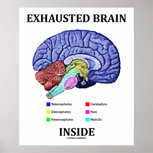 Exhausted Brain Inside Anatomical Brain Humor Poster