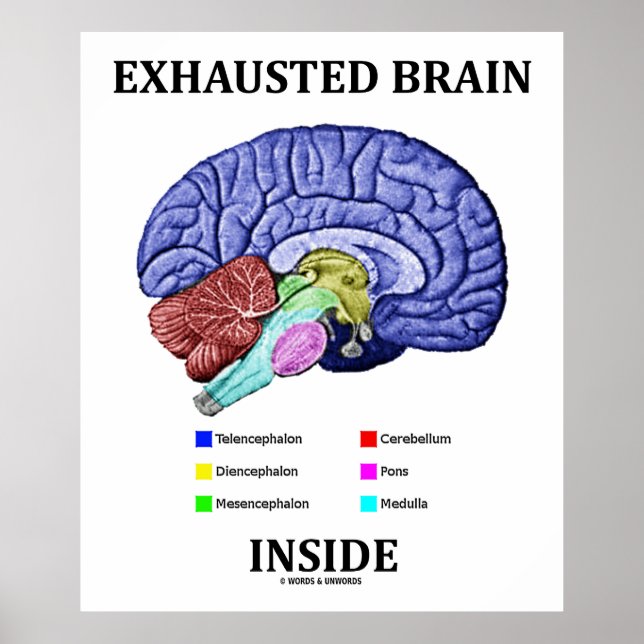 Exhausted Brain Inside (Anatomical Brain Humor) Poster (Front)