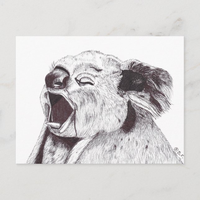 EXHAUSTED KOALA HOLIDAY POSTCARD (Front)