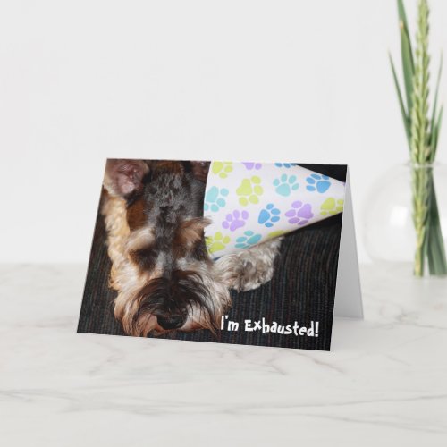 Exhausted Puppy with Party Hat Birthday Card