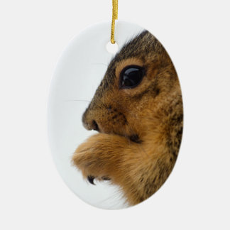 Existential Squirrel Ceramic Ornament