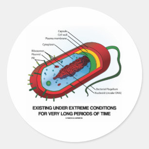 Existing Under Extreme Conditions Very Long Time Classic Round Sticker