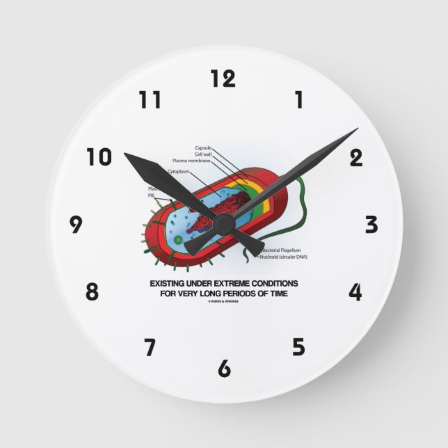 Existing Under Extreme Conditions Very Long Time Round Clock (Front)
