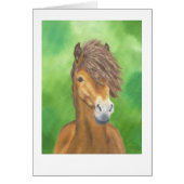 Exmoor pony card (Front)