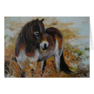 Exmoor Pony Cards