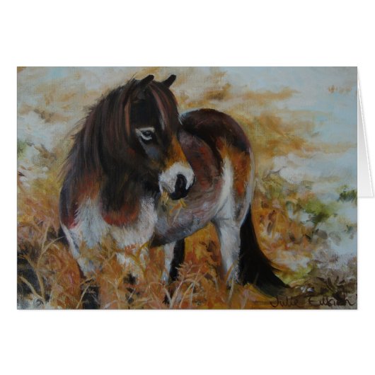 Exmoor Pony Cards (Front Horizontal)
