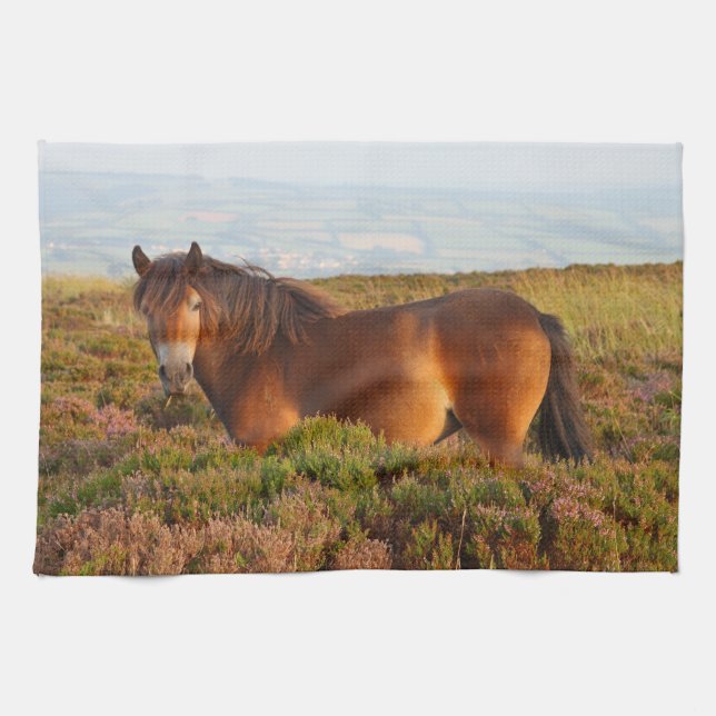 Exmoor pony, horse, Somerset, England Kitchen Towel (Horizontal)