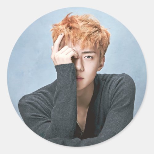 EXO Sehun Stickers