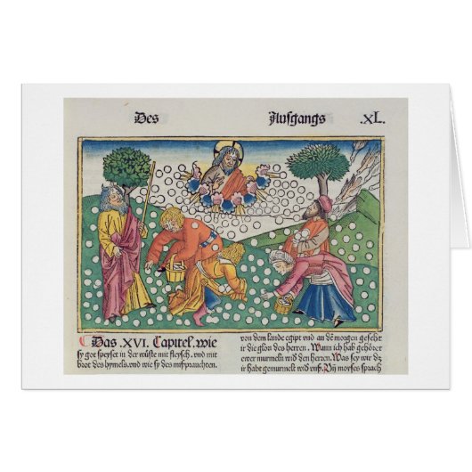 Exodus 16 13-22 God provides quail and manna to th (Front Horizontal)