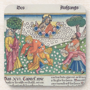 Exodus 16 13-22 God provides quail and manna to th Drink Coaster