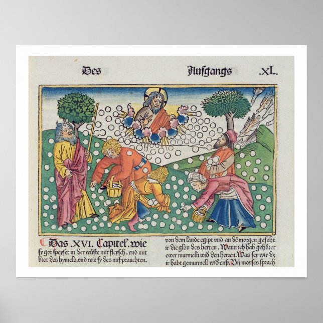 Exodus 16 13-22 God provides quail and manna to th Poster (Front)