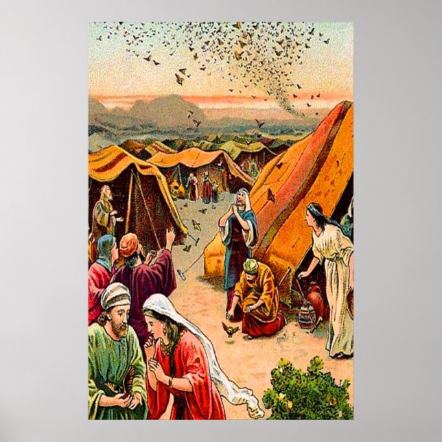 Exodus 16 God Sends Quail and Manna poster (Front)