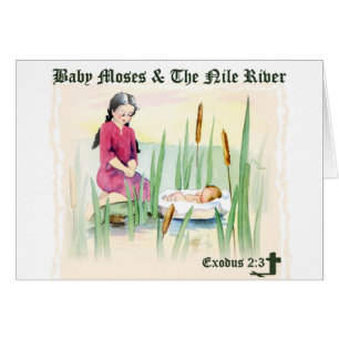 Exodus 2:3 - Baby Moses on the Nile River Cards
