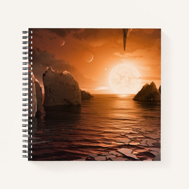 Exoplanet Trappist-1f From Its Icy Night Side. Notebook (Front)