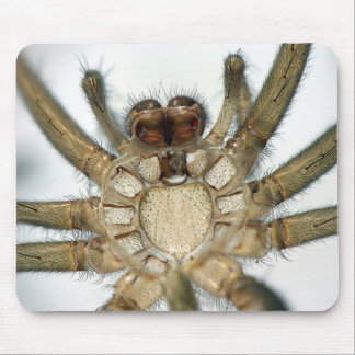 exoskeleton spider mouse pad