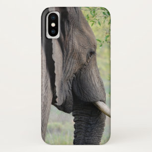 Exotic African Grey Elephant iPhone X Case
