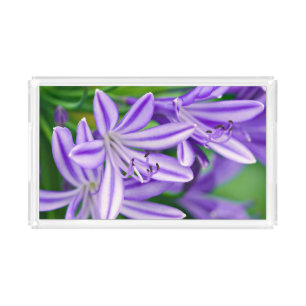 Exotic African Lily Acrylic Tray