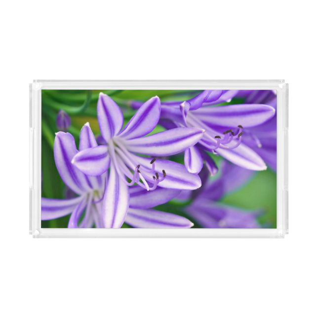 Exotic African Lily Acrylic Tray (Front)