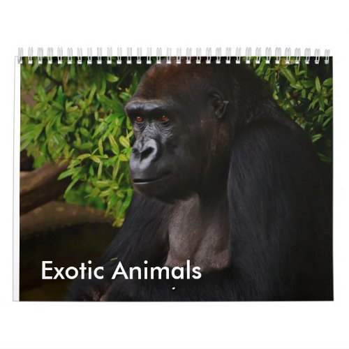 Exotic Animals calendar