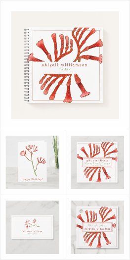 Exotic Australian Flowers: Kangaroo Paw