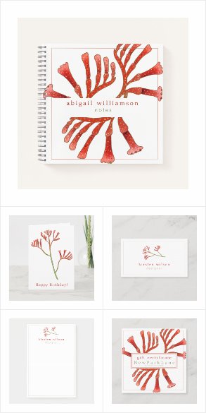 Exotic Australian Flowers: Kangaroo Paw
