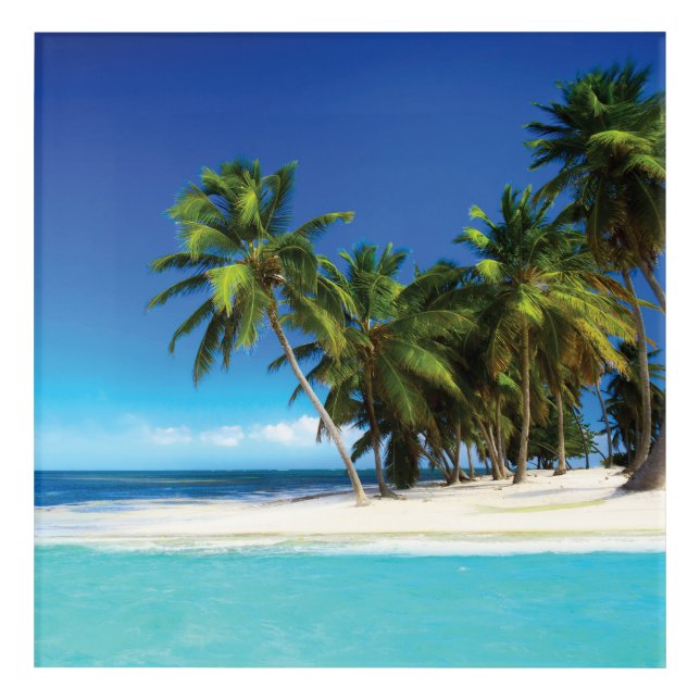 Exotic beach throw pillow acrylic print (Front)