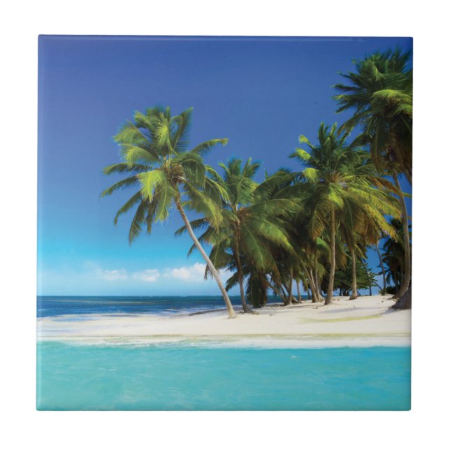 Exotic beach throw pillow ceramic tile (Front)