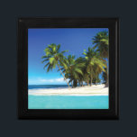 Exotic beach throw pillow gift box<br><div class="desc">tropical beach</div>