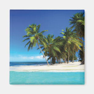 Exotic beach throw pillow magnet