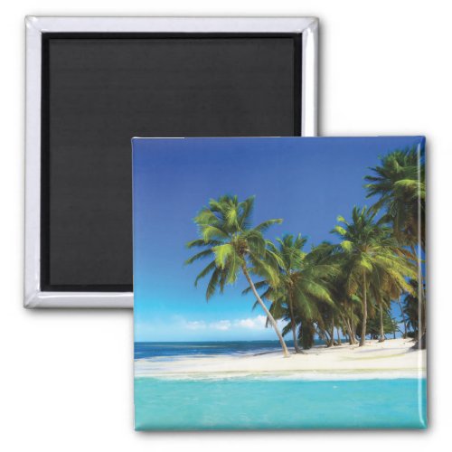 Exotic beach throw pillow magnet