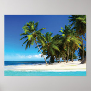 Exotic beach throw pillow poster