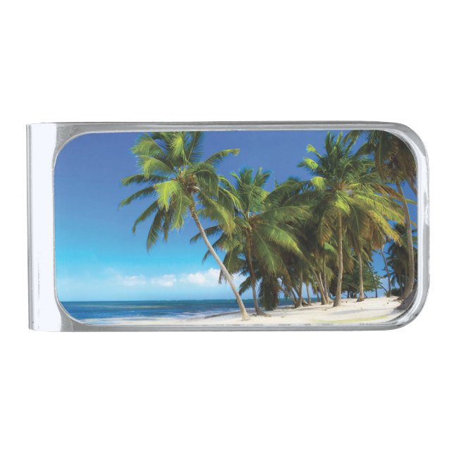 Exotic beach throw pillow silver finish money clip (Front)