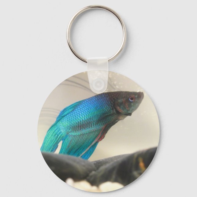 Exotic Betta Fish Closeup Keychain (Front)
