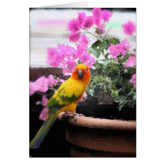Exotic Bird Cards (Front)