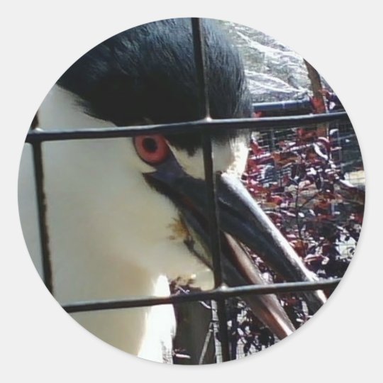 Exotic Bird Classic Round Sticker
