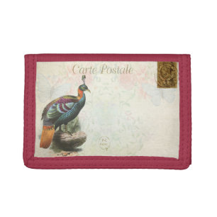 Exotic Bird Vintage Postcard Tri-fold Wallet