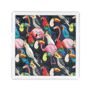 Exotic birds acrylic tray