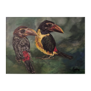 Exotic Birds Acrylic Wall Art, 14" x 10" Acrylic Print