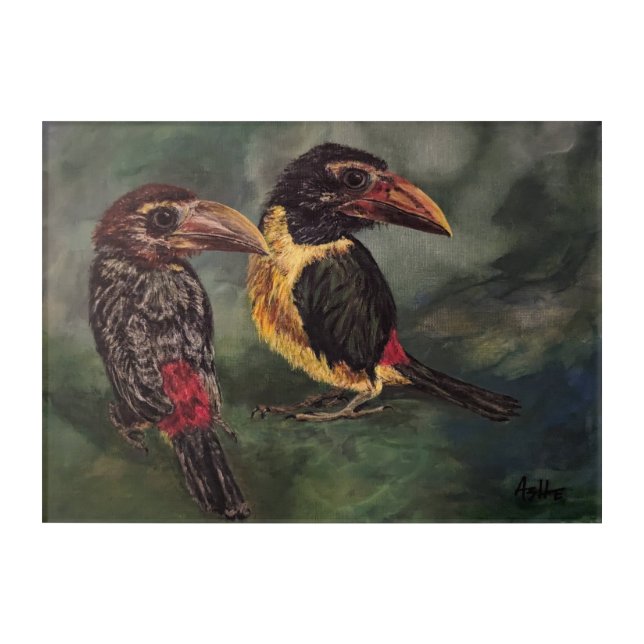 Exotic Birds Acrylic Wall Art, 14" x 10" Acrylic Print (Front)