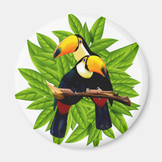 Exotic Birds Magnet