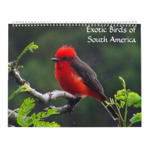 Exotic Birds of South America Calendar