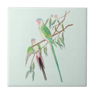 Exotic Birds Pastel Watercolor Green Ceramic Tile