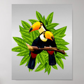Exotic Birds Poster
